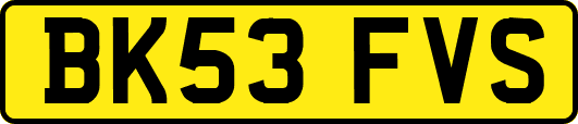 BK53FVS