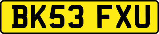 BK53FXU