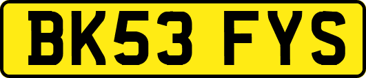 BK53FYS