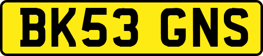 BK53GNS