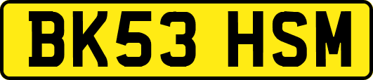BK53HSM