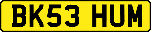 BK53HUM