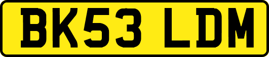 BK53LDM