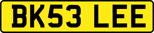 BK53LEE