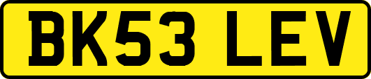 BK53LEV