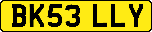 BK53LLY
