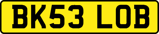 BK53LOB