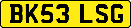 BK53LSG