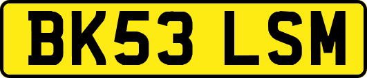 BK53LSM