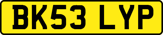 BK53LYP
