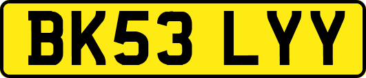 BK53LYY