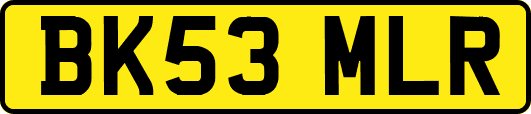BK53MLR