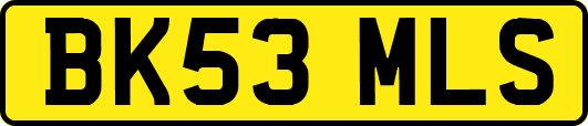 BK53MLS