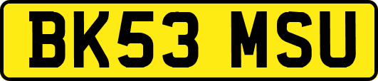 BK53MSU
