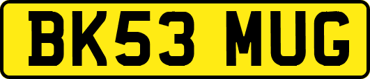 BK53MUG