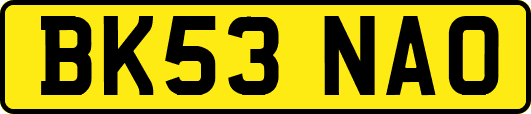 BK53NAO