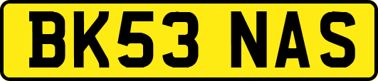 BK53NAS