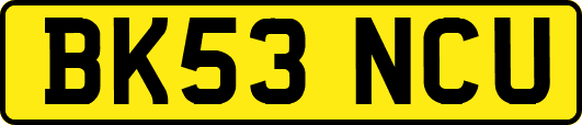 BK53NCU