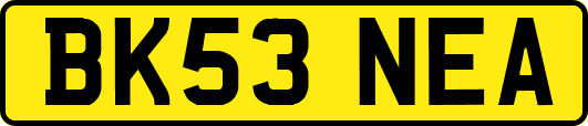 BK53NEA