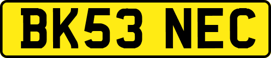 BK53NEC