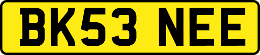 BK53NEE