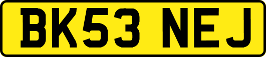 BK53NEJ