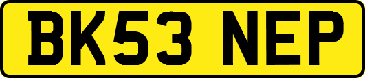 BK53NEP