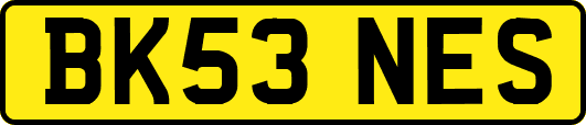 BK53NES
