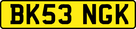 BK53NGK