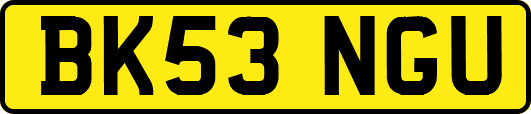 BK53NGU