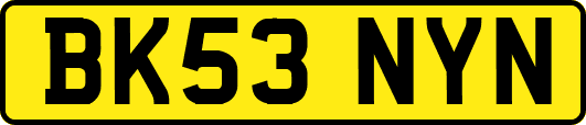 BK53NYN