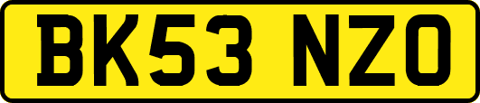 BK53NZO