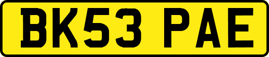 BK53PAE