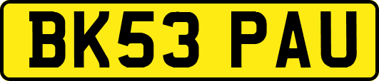 BK53PAU