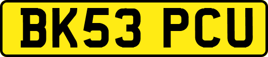BK53PCU