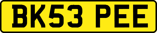 BK53PEE