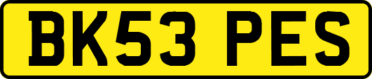 BK53PES
