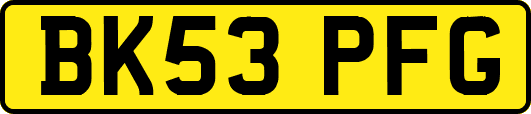 BK53PFG