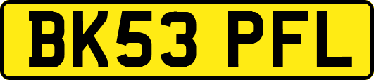 BK53PFL