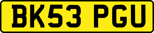 BK53PGU