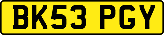 BK53PGY