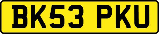 BK53PKU