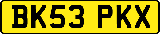 BK53PKX