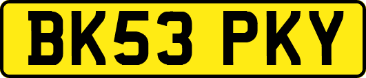 BK53PKY