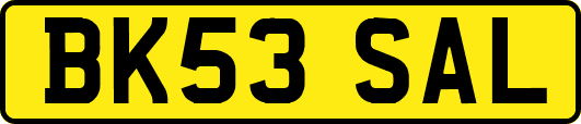 BK53SAL