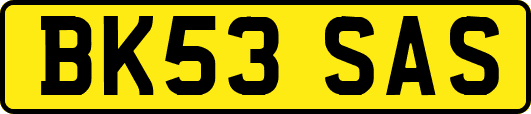 BK53SAS