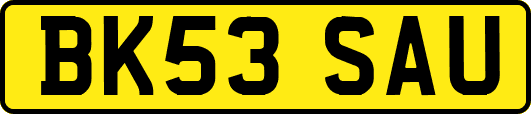 BK53SAU