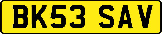 BK53SAV