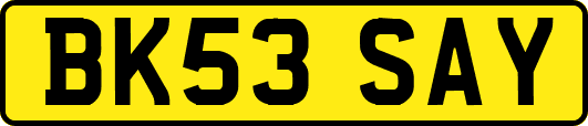 BK53SAY