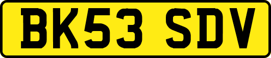 BK53SDV